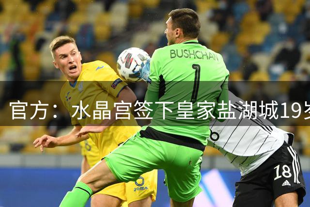 官方：水晶宫签下皇家盐湖城19岁边锋戈佐 据悉转会费1300万欧