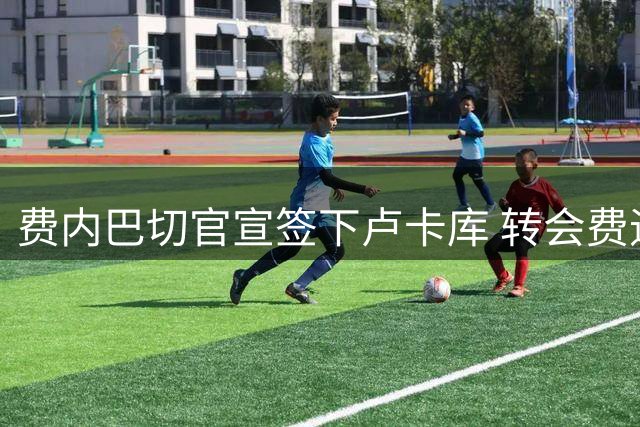 费内巴切官宣签下卢卡库 转会费逾600万欧