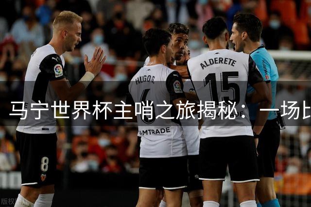 马宁世界杯主哨之旅揭秘：一场比赛背后的职业坚守与深层思考